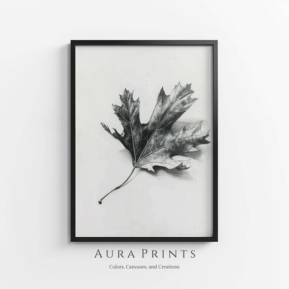 Oak Leaf Pencil Sketch Botanical Minimalist Vintage Nature Art Poster