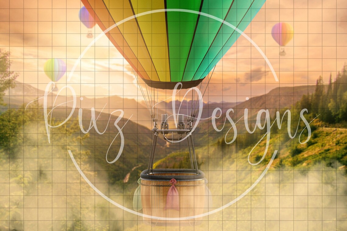 Whimsical Hot Air Balloon Backdrop, Photographer Gift - Image 2