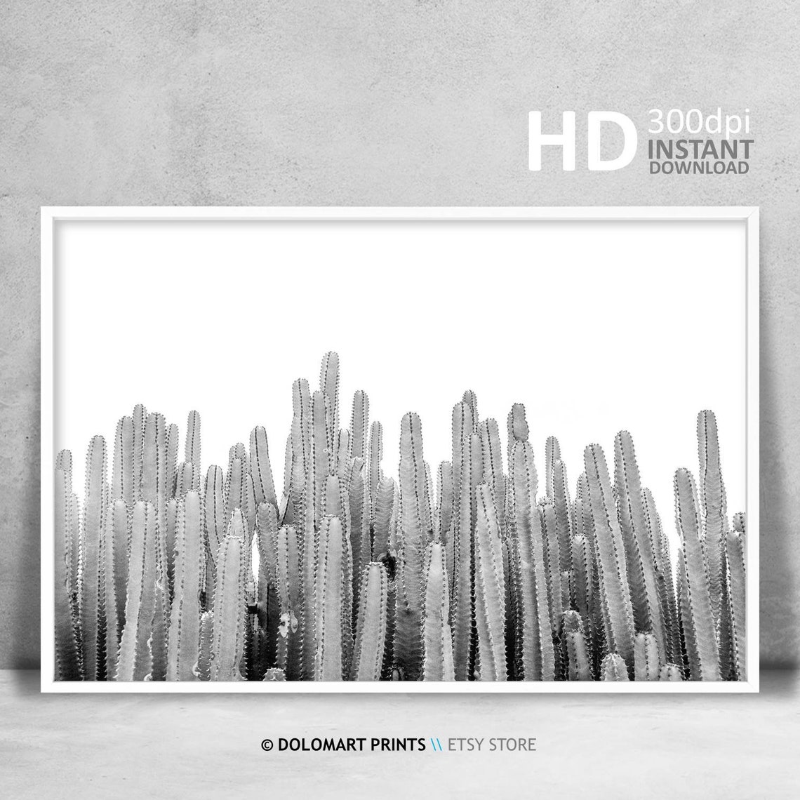 Black and White Cactus Columns Minimal Desert Botanical Poster