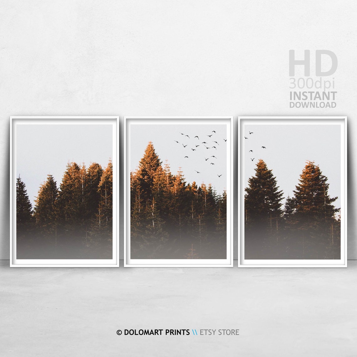 Misty Pine Forest Birds Flying Sunset Nature Photography Poster - Image 3