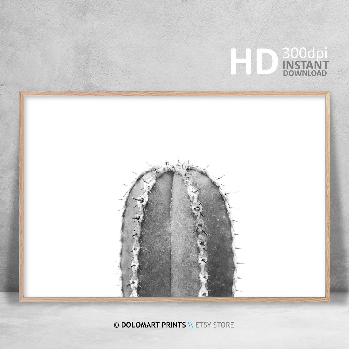 Black And White Cactus Photography Minimal Desert Botanical Poster - Image 3