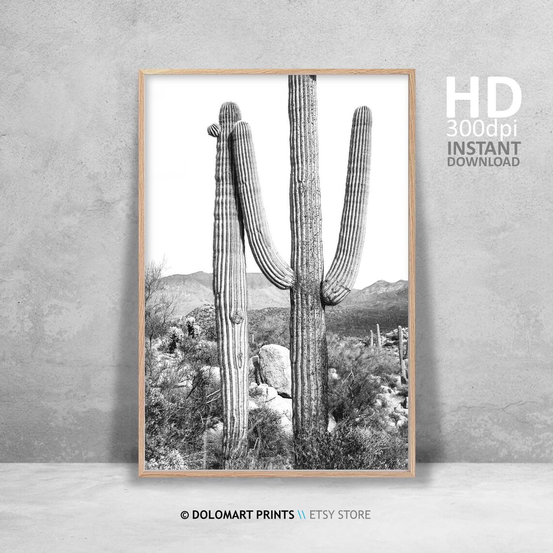 Cactus Print Black and White Farmhouse Art Print - Image 4