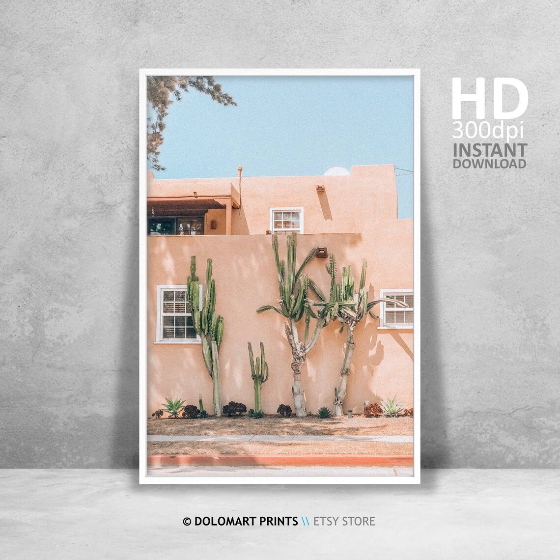 Arizona Desert Boho Art Print, Southwestern Decor