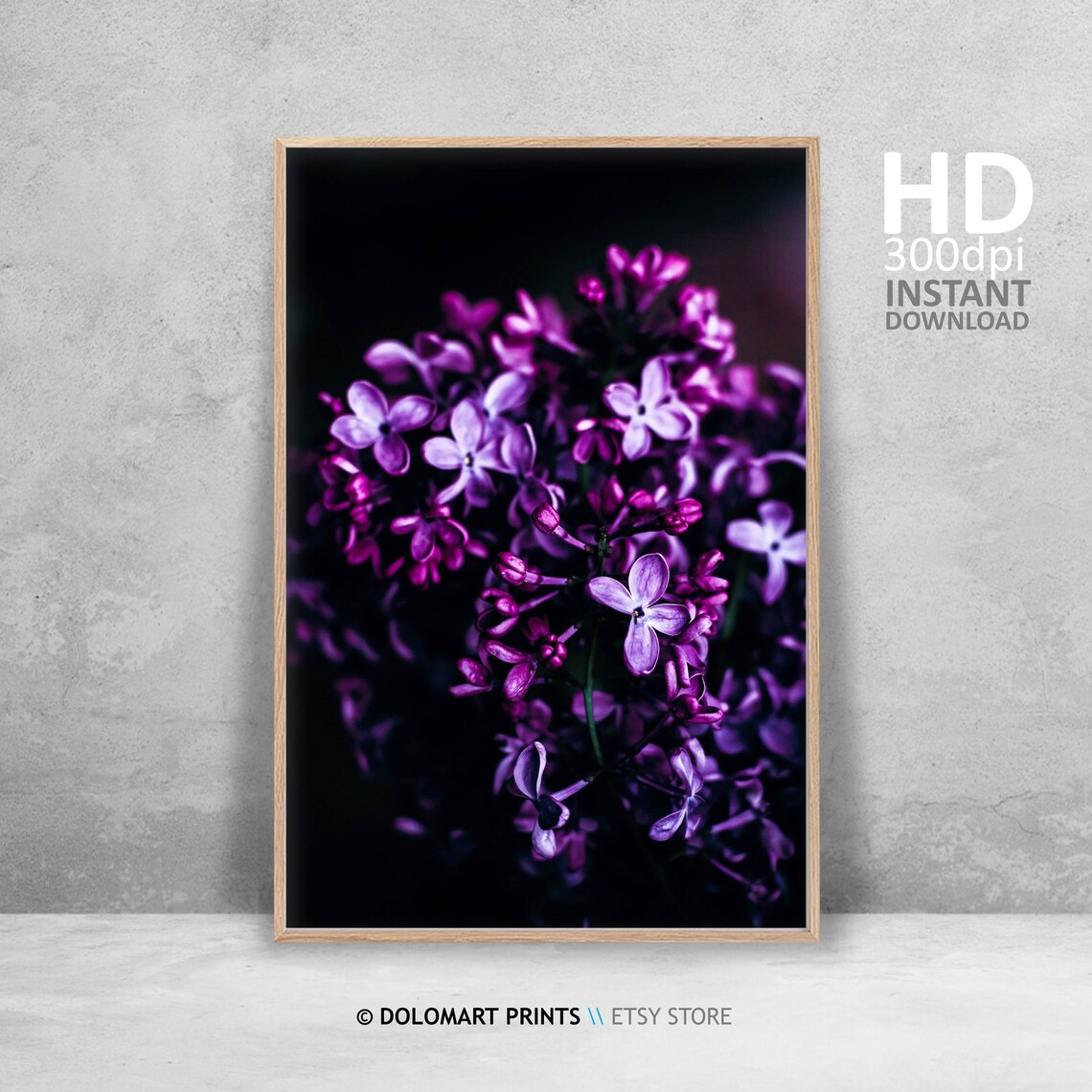 Purple Flower Photo Art Print, Purple and Black - Image 4