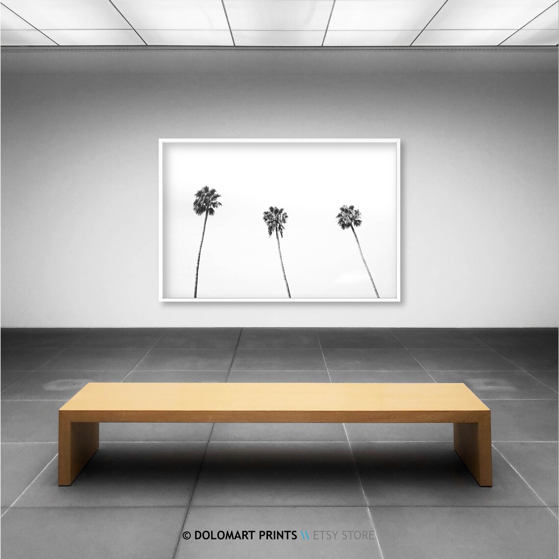 Palm Tree Print Tropical Wall Art Decor Black And White Palm Tree Photography Large Poster Beach Plant Decor - Image 2