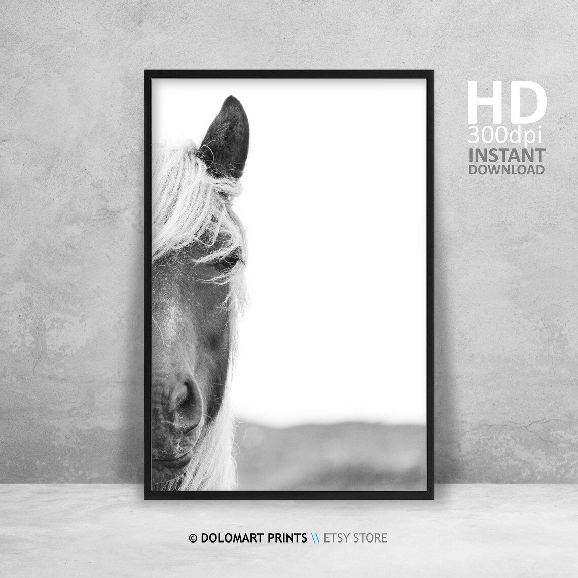 Wild Horse Wilderness Photography Art Print - Image 4