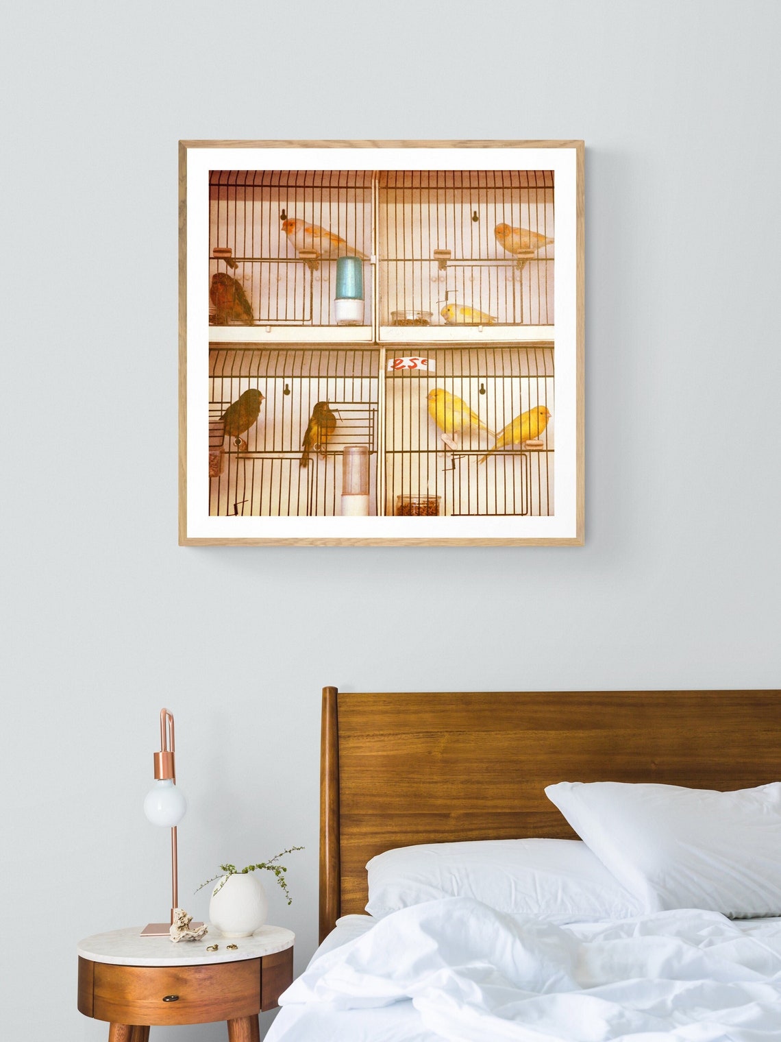 Paris Photography French Bird Art Print