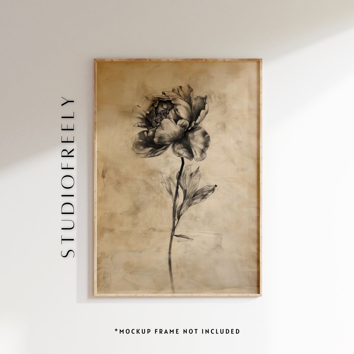 Single Peony Ink Sketch Vintage Botanical Minimal Line Wall Art