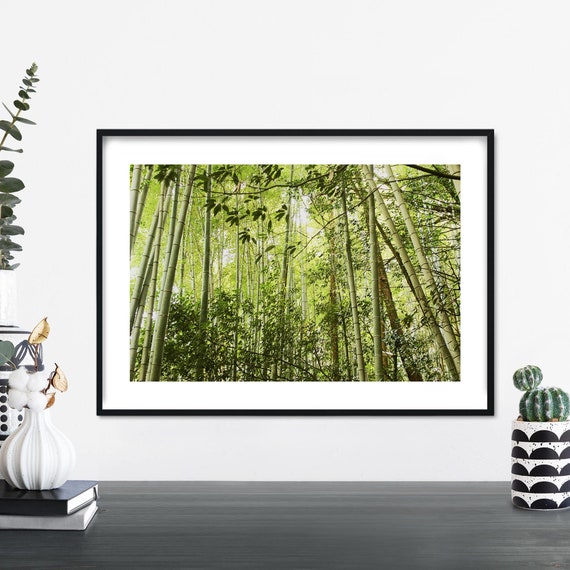 Bamboo Forest Print Wall Art A4 A3 A2 A1