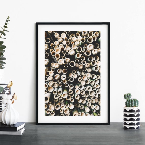 Bamboo Photographic Print Wall Art A4 A3 A2 A1