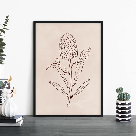 Banksia Australian Native Floral Illustrative Print Wall Art A4 A3 A2 A1