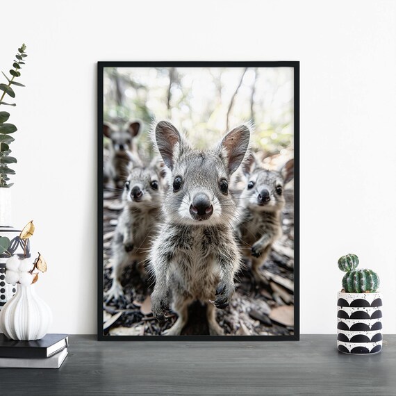 Curious Quokkas Group Close Up Forest Wildlife Photo Wall Poster