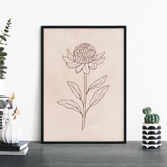 Waratah Australian Native Floral Illustrative Print Wall Art A4 A3 A2 A1