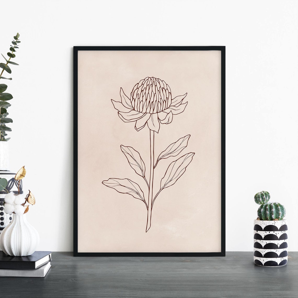 Waratah Australian Native Floral Line Illustration Art Poster