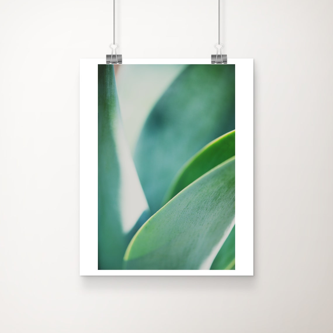 Agave Leaf Print Botanical Abstract Art Large Wall Plant Photograph Nature Photography Vertical Green Decor