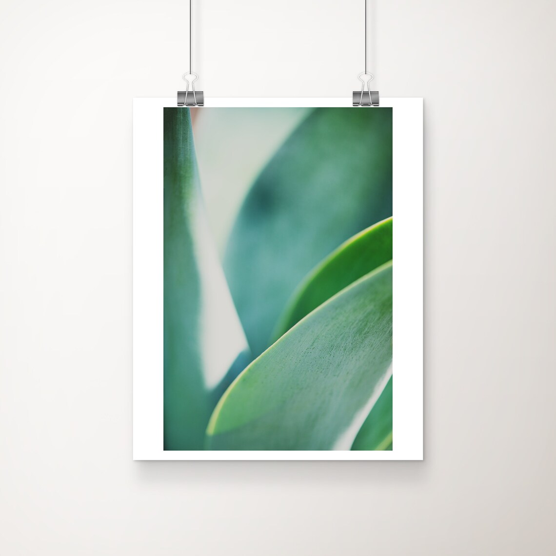 Green Agave Leaves Close Up Modern Botanical Photo Poster Art