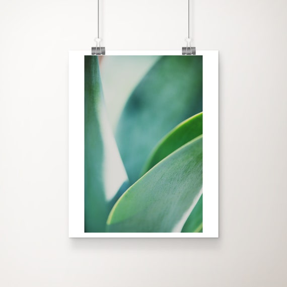 Agave Leaf Print Botanical Abstract Art Large Wall Plant Photograph Nature Photography Vertical Green Decor