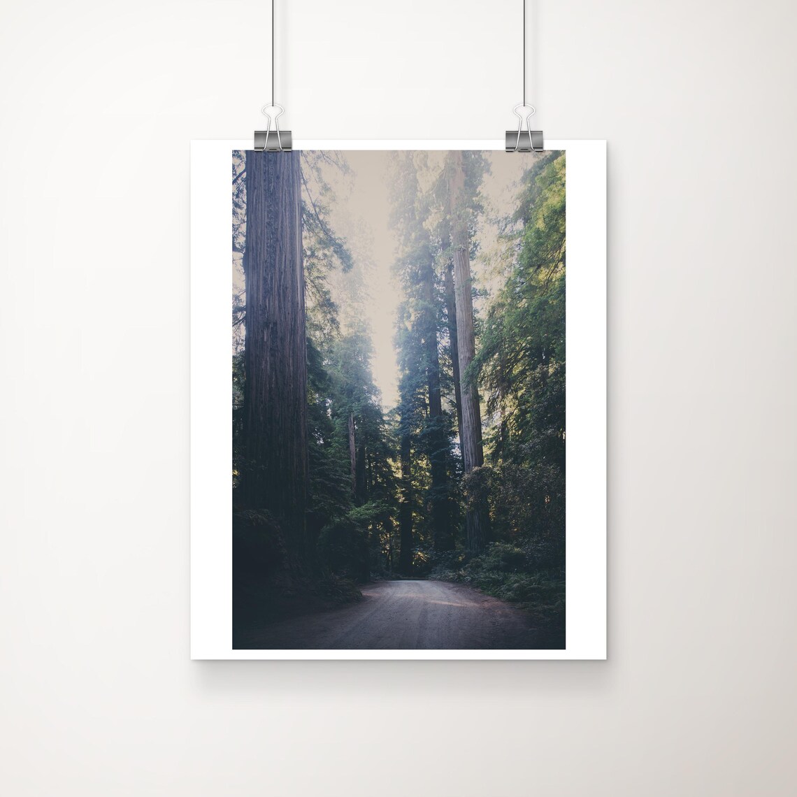 Redwood National Park Misty Forest Road Giant Trees Nature Photo Poster