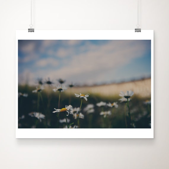 Royal Crescent Bath Print Summer Flowers Somerset Photography