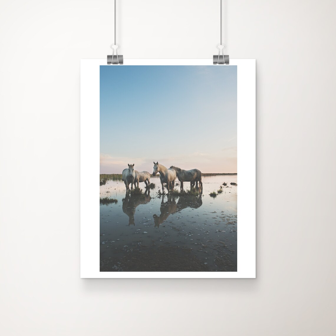 Wild Camargue White Horses at Sunset in Water France Photo Print