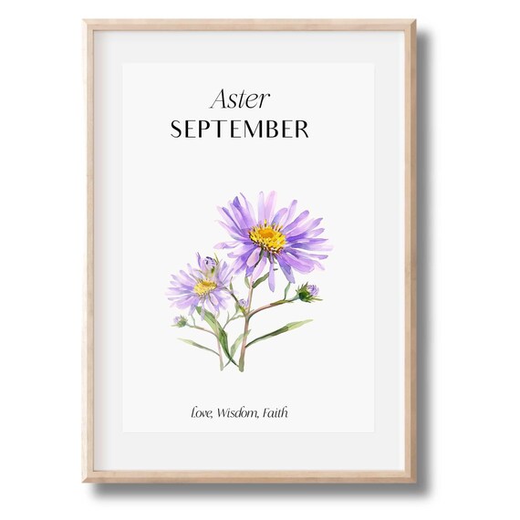September Birth Month Purple Aster Watercolor Love Wisdom Faith Poster