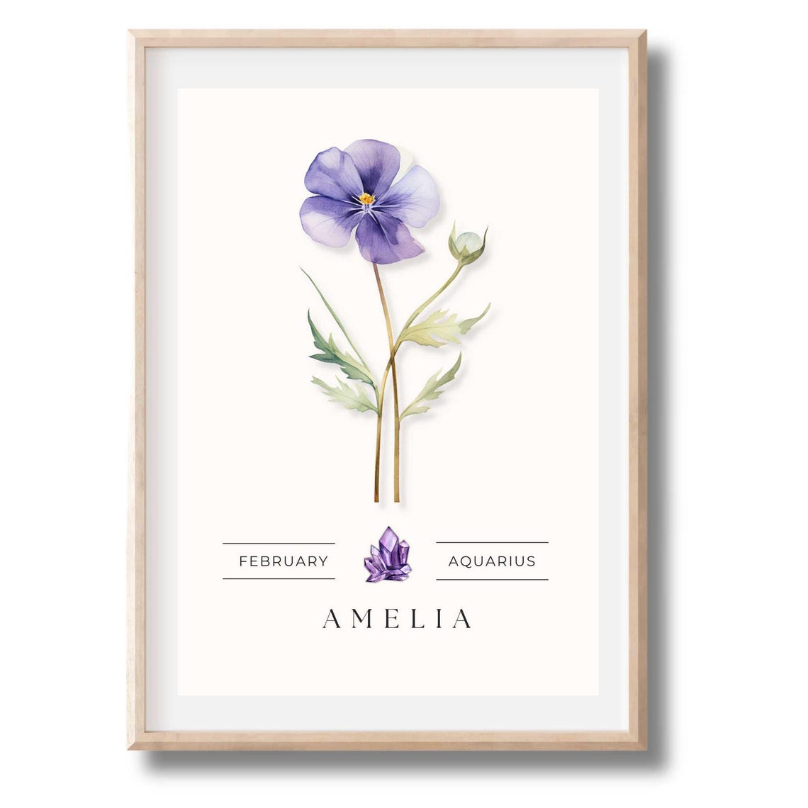 February Birth Month Violet Pansy Aquarius Amethyst Amelia Poster