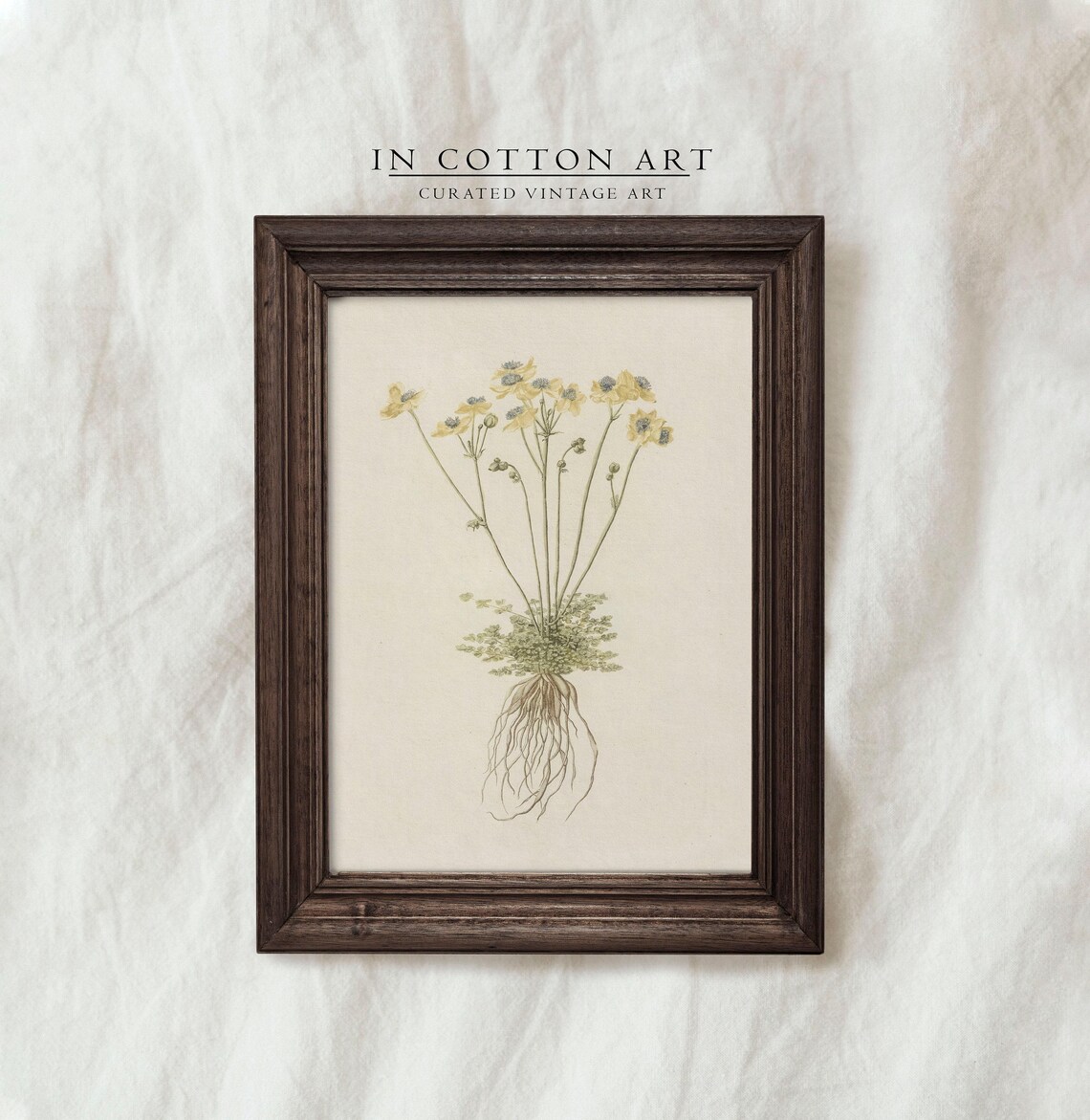 Antique Yellow Wildflower Botanical Roots Illustration Art Print - Image 4