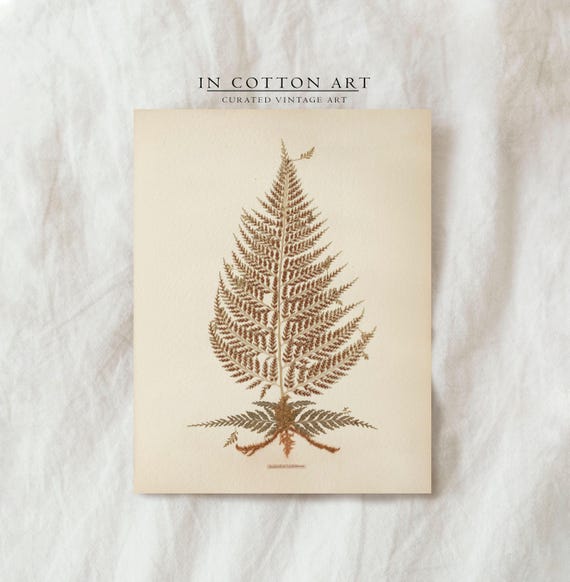 Vintage Kitchen Fern Botanical Art Print, Farmhouse