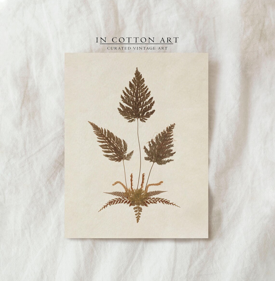 Antique Neutral Fern, Vintage Botanical Art Print