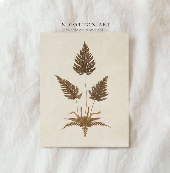 Antique Neutral Fern, Vintage Botanical Art Print