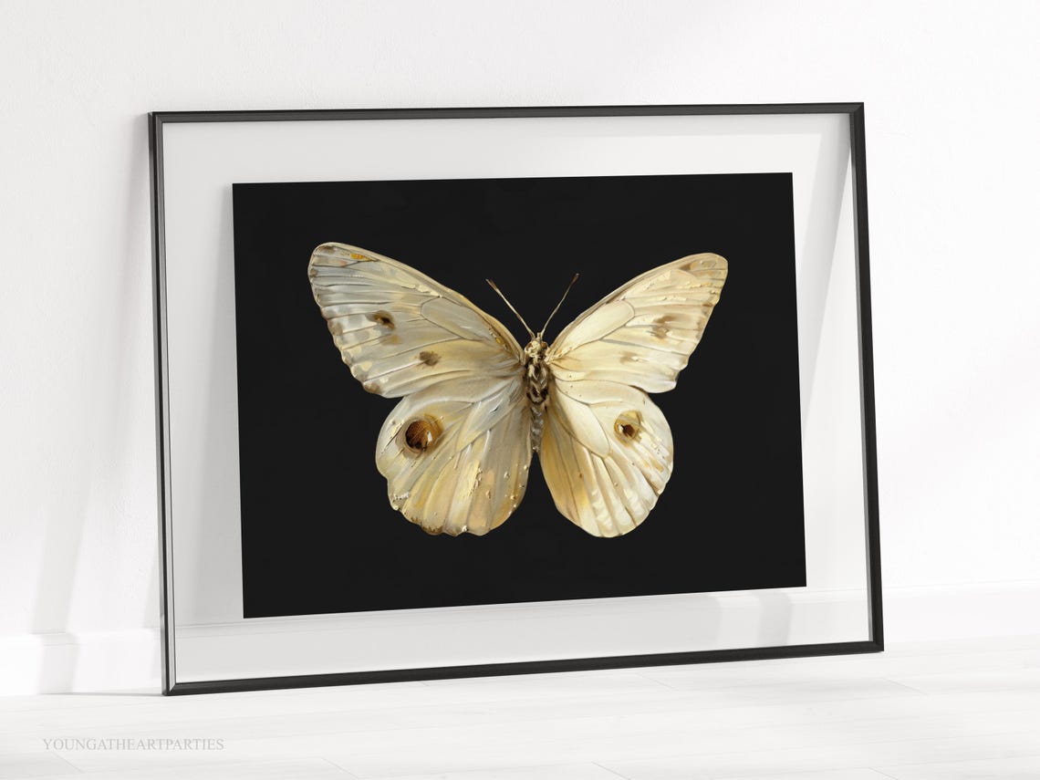 White Moth on Black Moody Insect Gold Frame Vintage Wall Art - Image 3