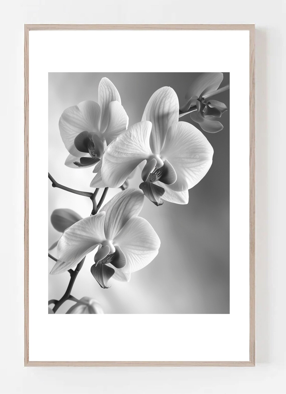 White Orchid Flower Photo, Botanical Wall Art - Image 3