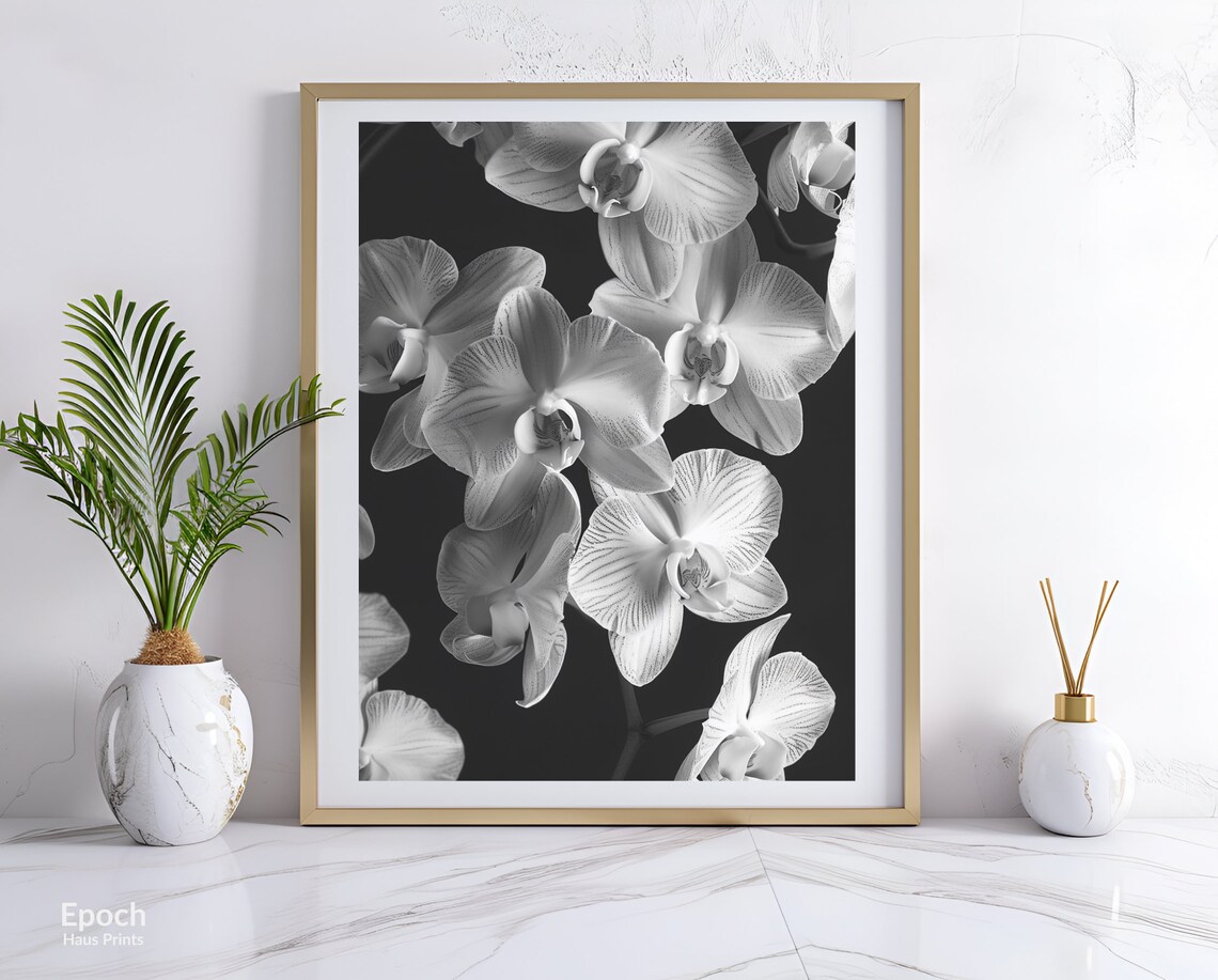 Orchid Flower Photo, Black And White Floral Art