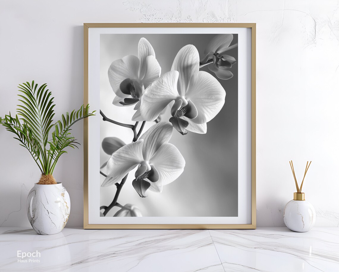 White Orchid Flower Photo, Botanical Wall Art