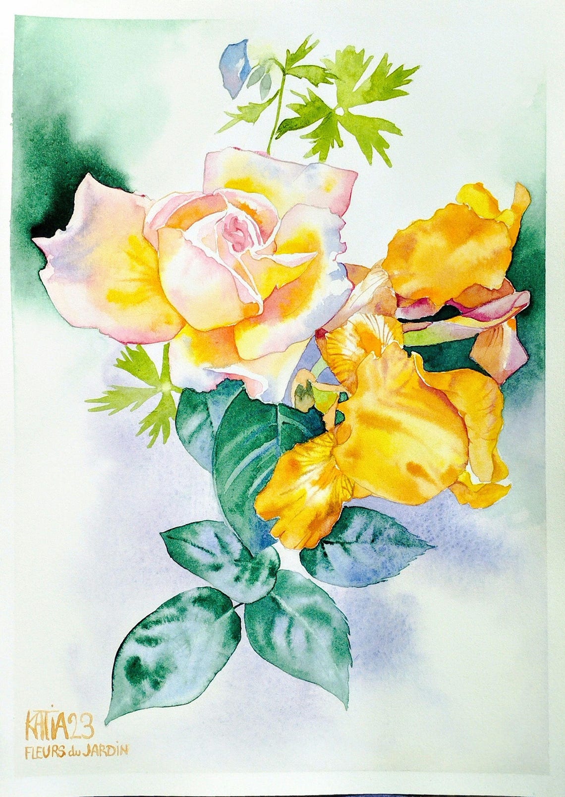 Rose Flower Painting Pink And Yellow Iris From The Garden Bright Bouquet Of Flowers Original Watercolor Wall Art Inspired By Nature