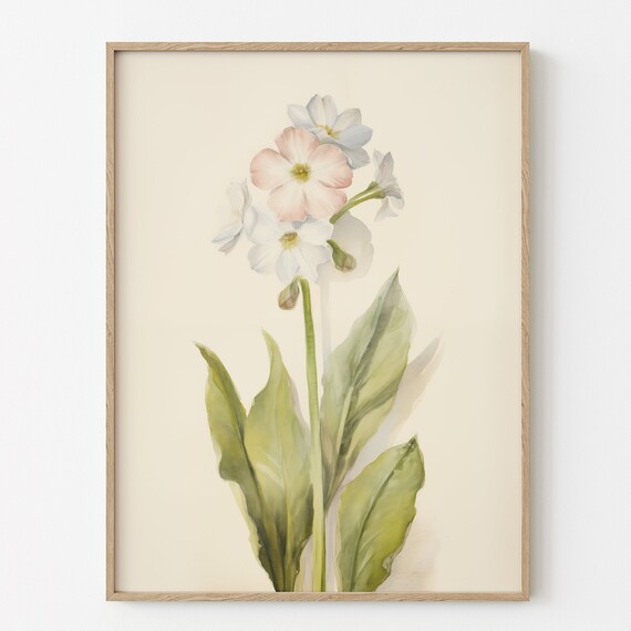 Watercolor Blossom Stem Pink White Floral Botanical Wall Art