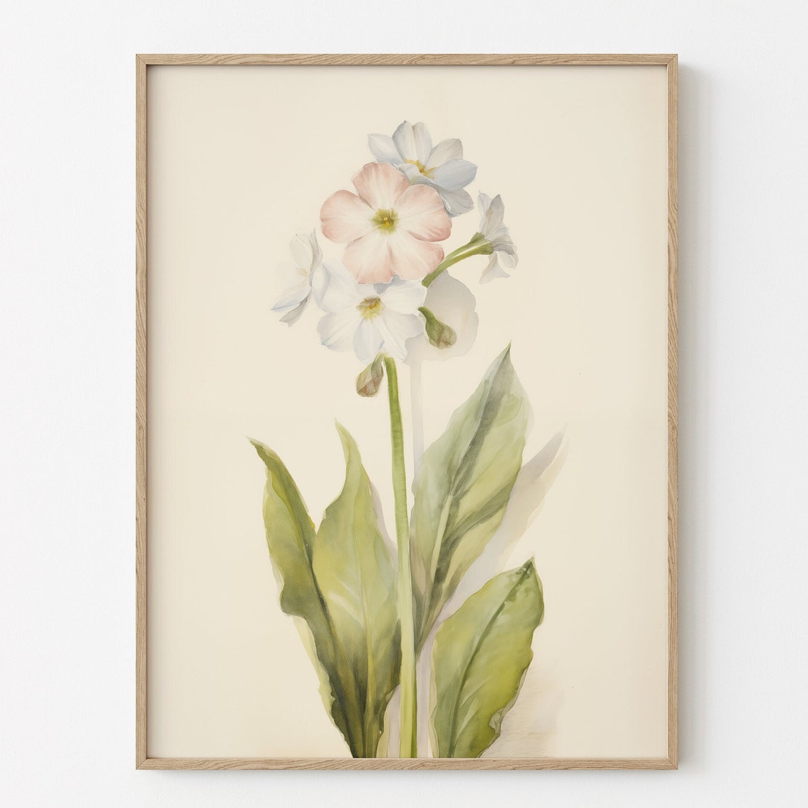 Watercolor Blossom Stem Pink White Floral Botanical Wall Art