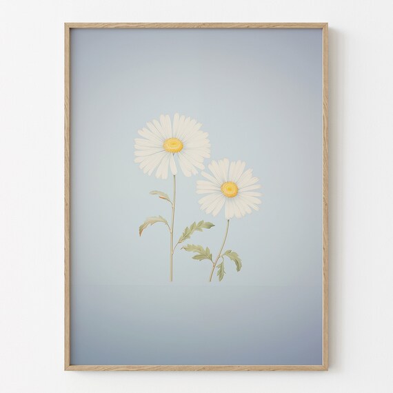 Minimalist White Daisy Botanical Watercolor On Soft Blue Poster