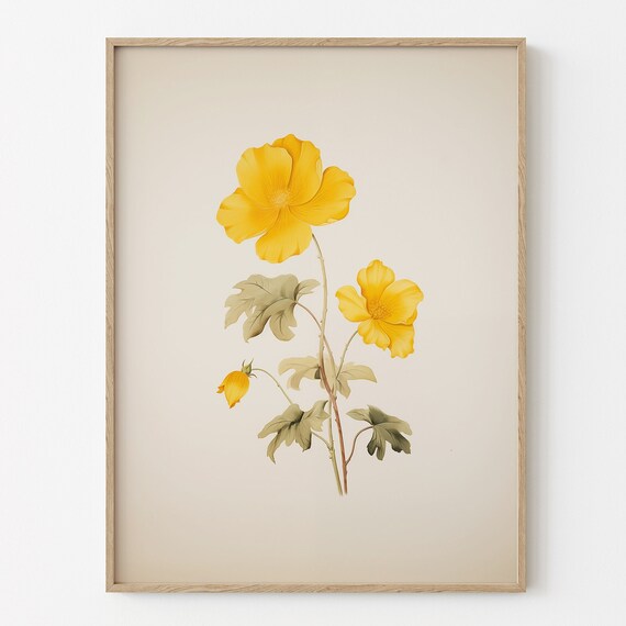 Yellow Poppy Botanical Watercolor Spring Floral Decor Wall Art