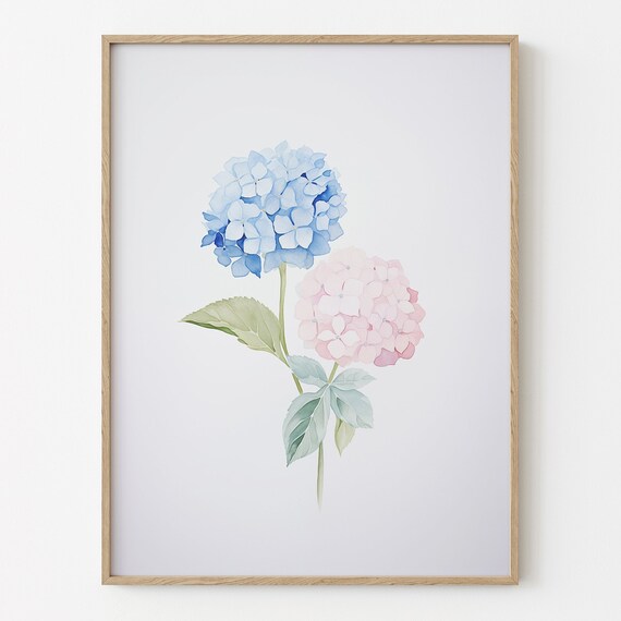 Soft Blue and Pink Hydrangea Watercolor Minimalist Floral Poster