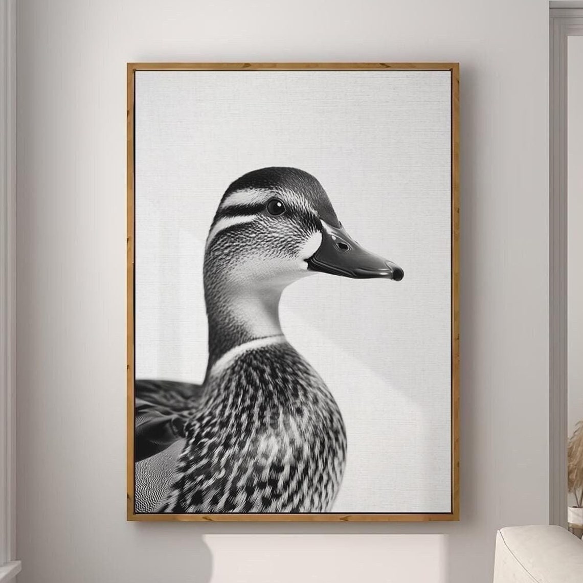 Mallard Duck Black and White Portrait Animal Photography Wall Art