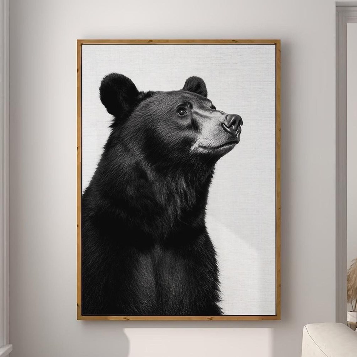 Black and White Black Bear Portrait Gazing Up Photography Poster