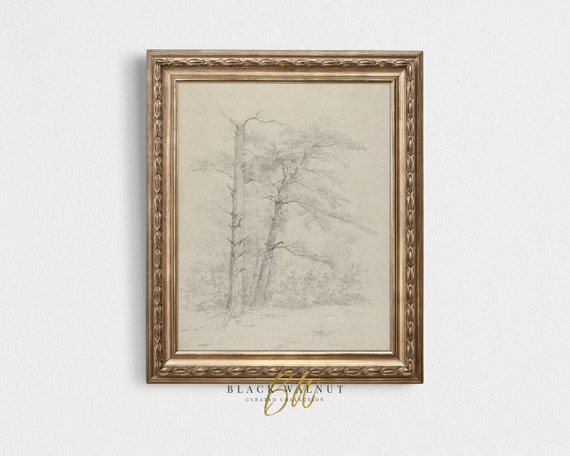 Antique Tree Drawing Vintage Tree Sketch French County Farmhouse Decor Vintage Sketch Art Art