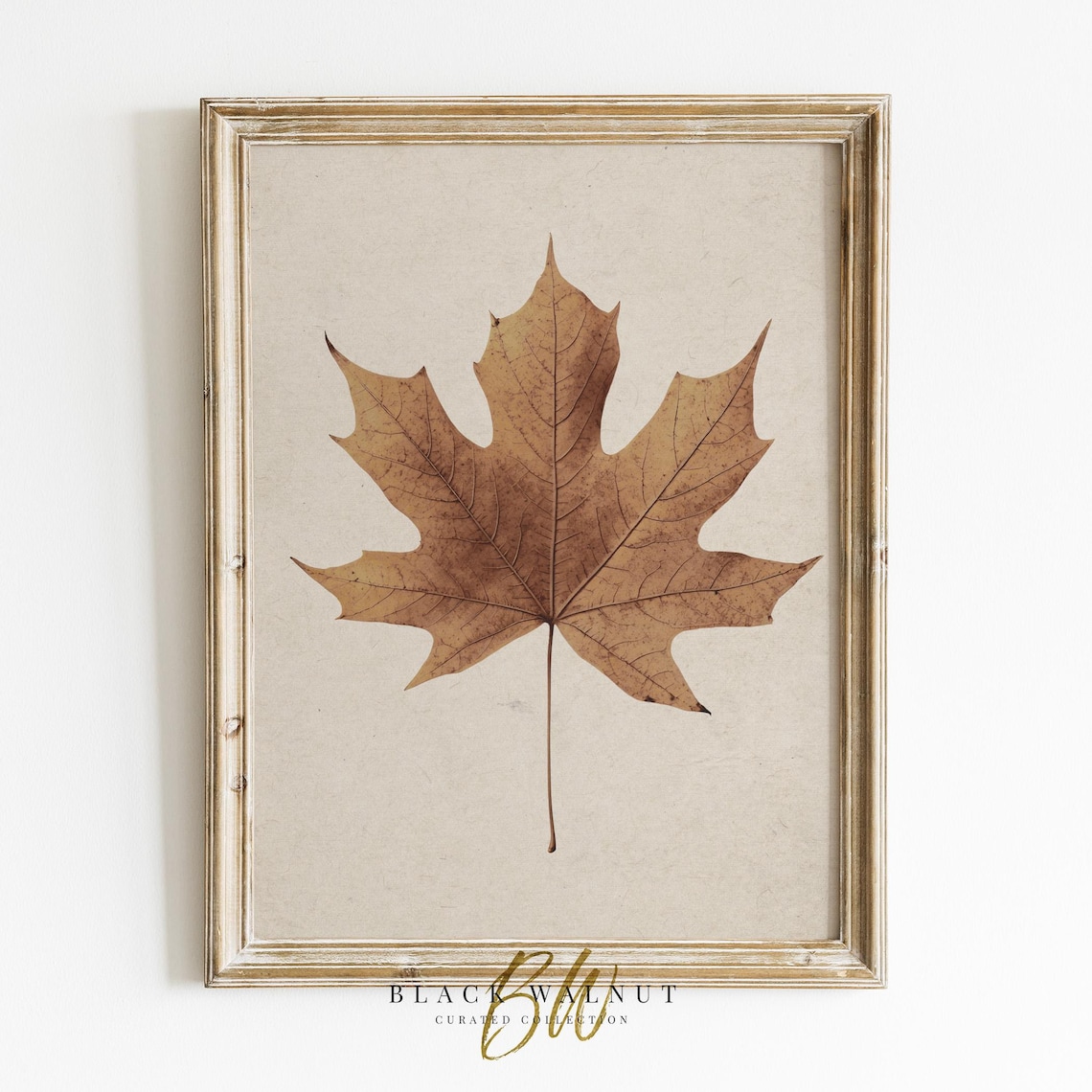 Vintage Fall Leaf Neutral Rustic Halloween Art Print