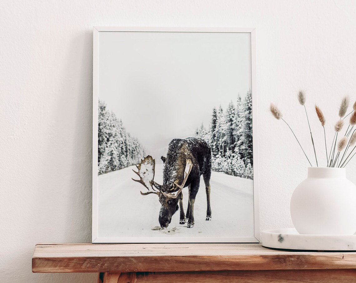 Moose Bull Snowy Winter Forest Road Wildlife Photography Poster