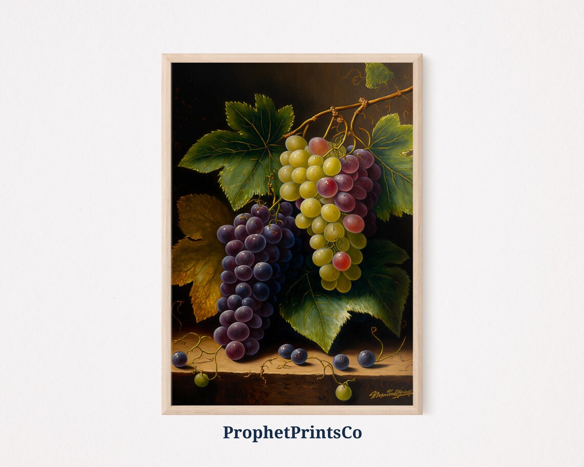 Classic Still Life of Grapes on the Vine With Leaves Dark Background Poster