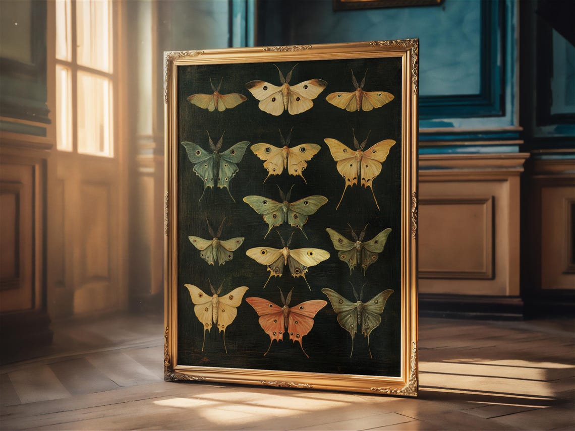 Moth Specimen Chart on Dark Green Vintage Entomology Art Poster - Image 2