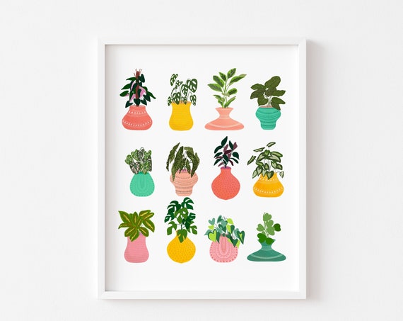 House Plant Art, Colourful Botanical Art Print