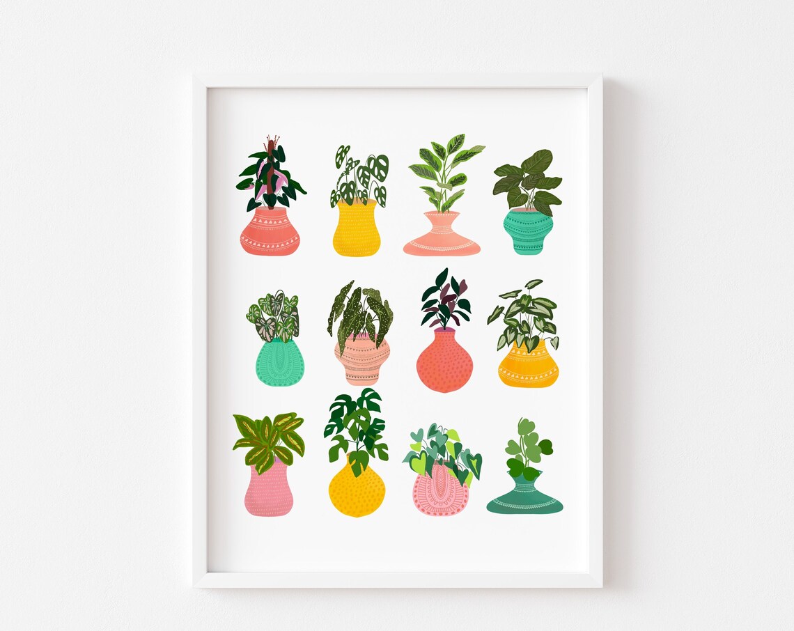 House Plant Art, Colourful Botanical Art Print