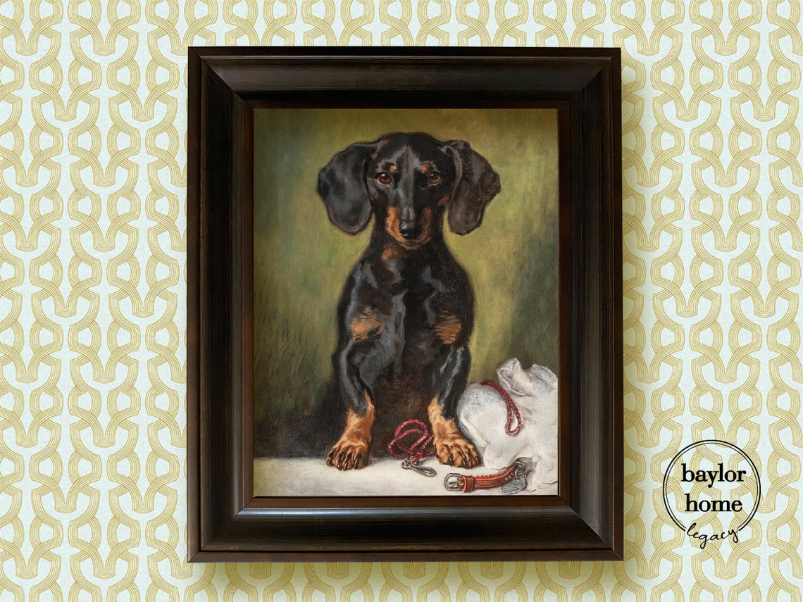 Black And Tan Dachshund Sitting With Leash Vintage Dog Portrait Poster